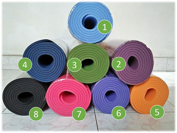 8 differen colors of TPE Yoga Mat