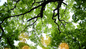 Uma clínica que reconhece histórias e celebra singularidades