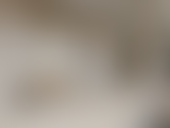 Elevating Maxtec’s Workspace: A Vision Realized