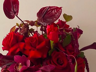 Screenshot 2026-01-10 at 4.45.32 PM.png