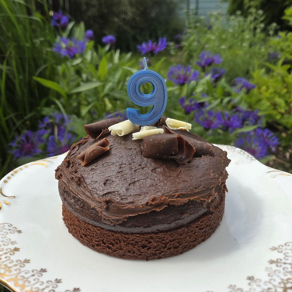 Birthday Cake with Candle
