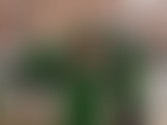 Were Ireland's Post Boxes always Green?