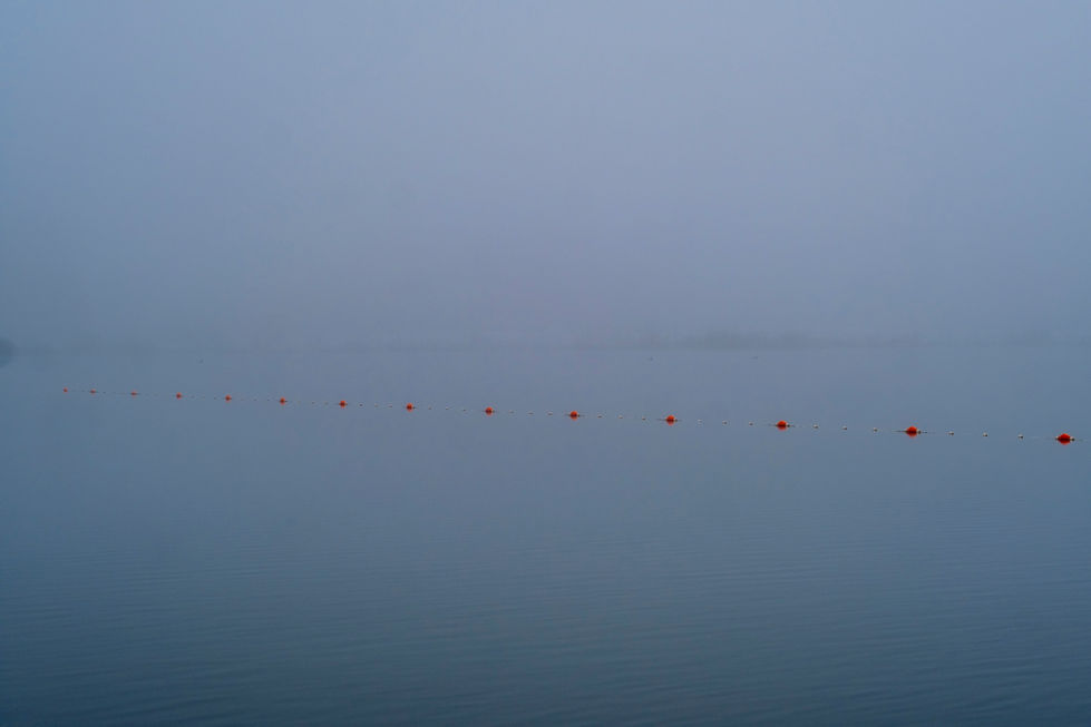Winter swimmers
