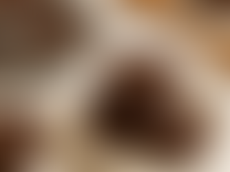 Black Bean Brownies: A Guilt-Free Treat You’ll Actually Crave