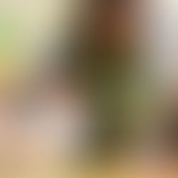 Formação continuada de professores para a Educação 5.0