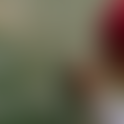 Letramento matemático: como entender melhor o seu significado