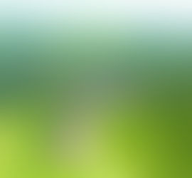 Prefeitura de Lagoinha firma parceria para melhorar a educação na rede pública de ensino