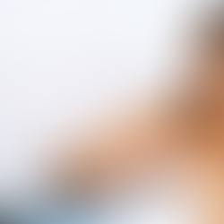 Competências e habilidades para educadores nos novos tempos