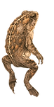FestCine Itaúna (2).png