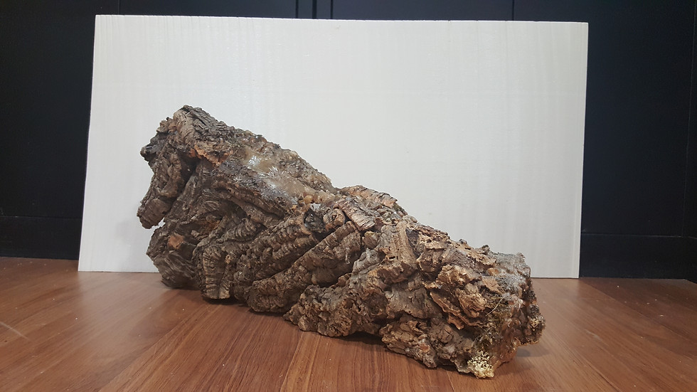 Miniatura: RÍO-CASCADA