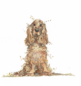 cocker.png
