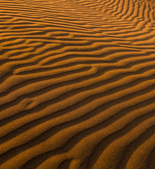 Sanddyner