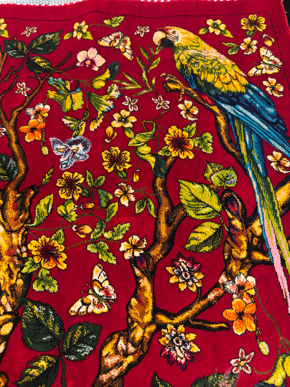 Thumbnail: Tropical Birds Garden