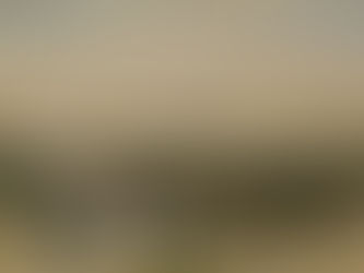 Goya – Ein Œuvre der Farben