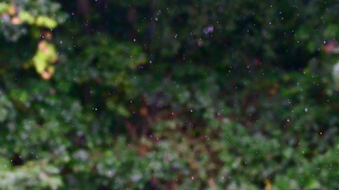 vlcsnap-2024-01-15-00h43m05s609