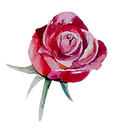 yoni erotic massage for women bangkok