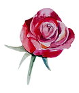 yoni erotic massage for women bangkok