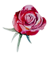 yoni erotic massage for women bangkok