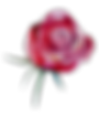 yoni erotic massage for women bangkok