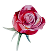 yoni erotic massage for women bangkok