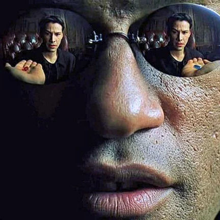 Matrix : Le choix du réel