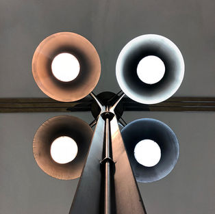 Light of The Holly Elm