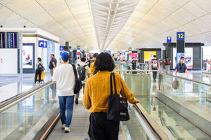 The 'New' Customs Traveller Declaration Explained