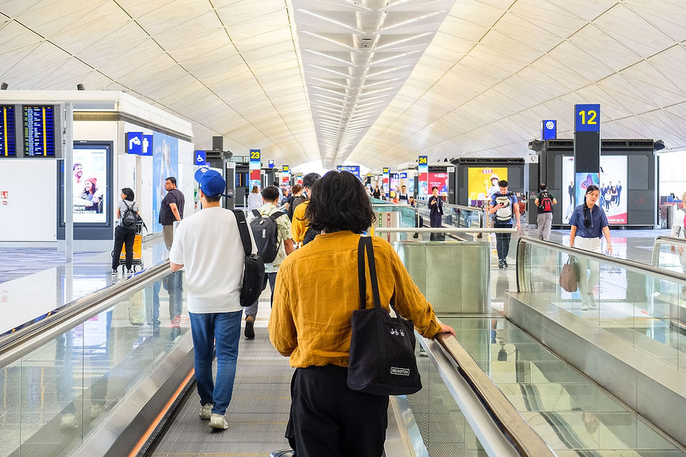 The 'New' Customs Traveller Declaration Explained