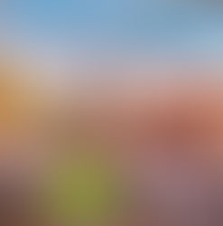 Le restaurant "Le Carré des saveurs" à Barjac (Gard 30)