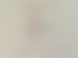 Le restaurant "Le 5 ème Péché" à Collioure (Pyrénées-Orientales 66)