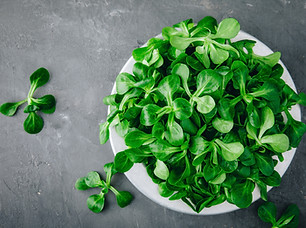Fresh green Corn salad leaves or lamb's lettuce in bowl. Top view.jpg