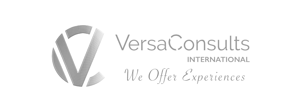 versa 咨询