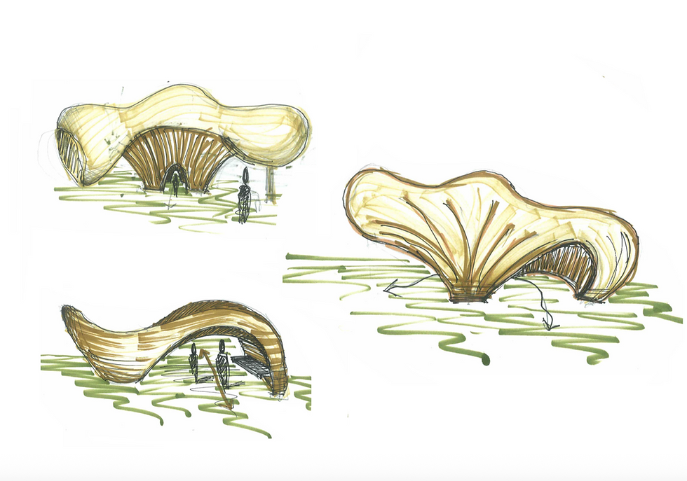 team-treeD - 3D Wood printing for built environment, TU / e , Endhoven, Netherlands