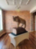 Cougar taxidermy display on wooden log