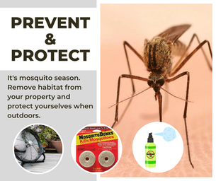 Mosquito prevention poster with close-up mosquito, text “PREVENT & PROTECT,” and images of fan, mosquito dunks, and spray bottle.