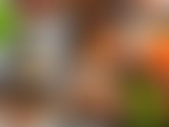 Fueling Your Fitness: The Power of Nutrition