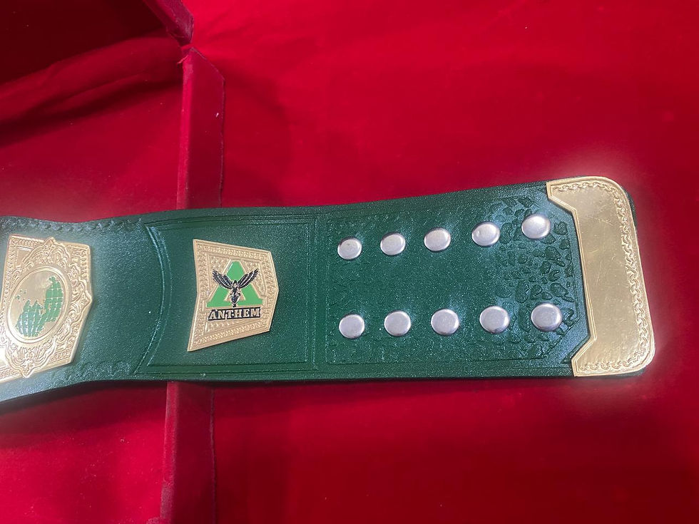 Thumbnail: TNA International Championship Pure Leather Belt