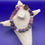 Thumbnail: Amethyst & Fluorite