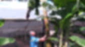 2019-11-13 (7).png