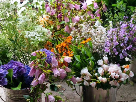 Locally grown seasonal cut flowers in purples whites and oranges