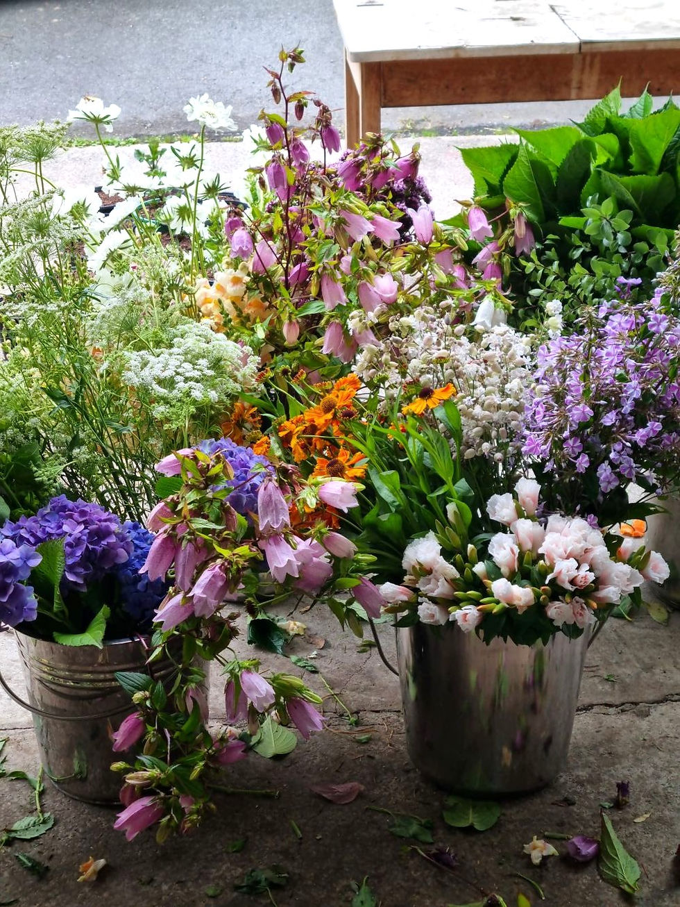 Locally grown seasonal cut flowers in purples whites and oranges
