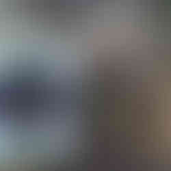 potting up perennial plant divisions to grow cut flowers