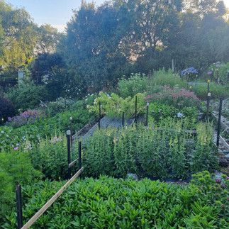 A terraced cut flower garden