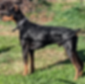 Screenshot_20200425-145730.png