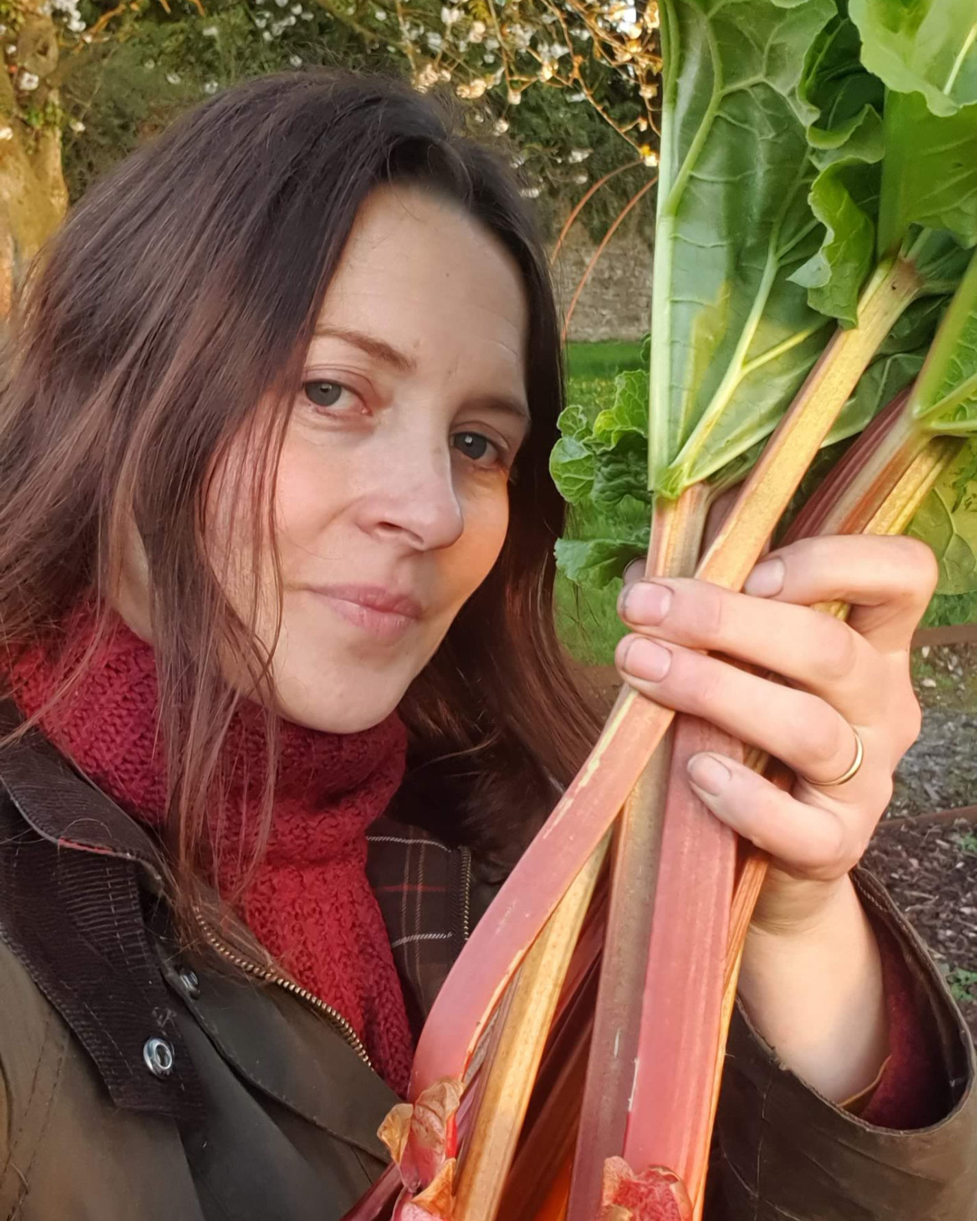 2026 Complete Beginner Gardening Course