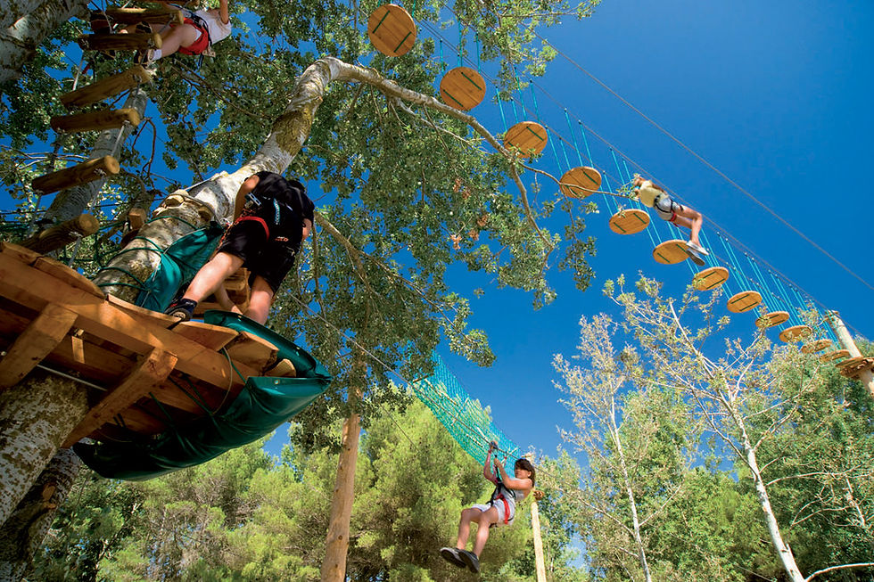 Parc aventure