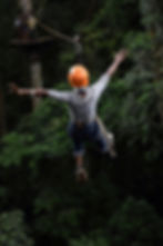 Zipline.jpg