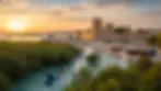 031d069f-5a78-4d25-9822-ca886c67ac5a_rezultat.webp