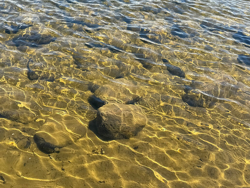 IMG_0448.jpeg