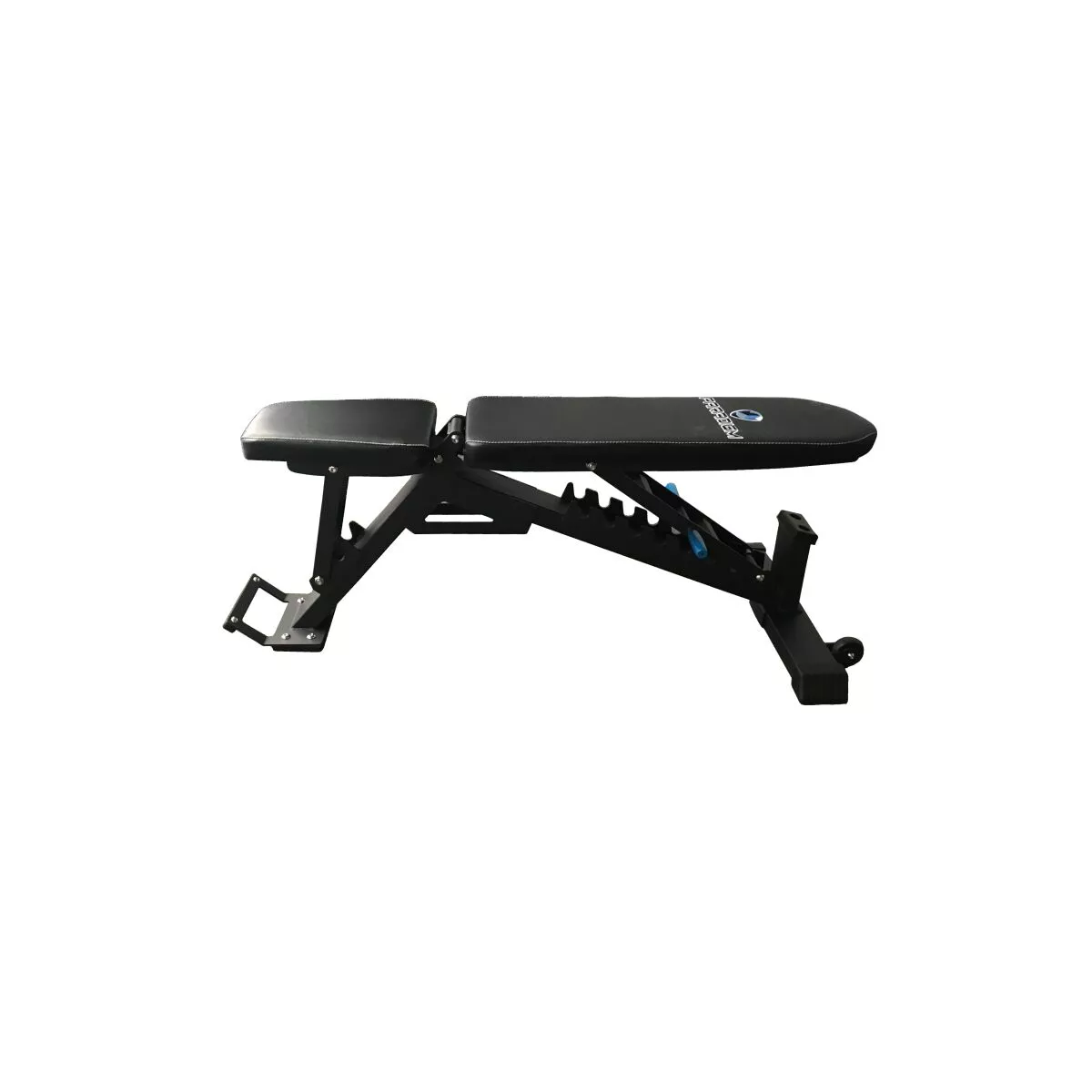 Paradigm Pro F.I.D. Bench Power Fitness